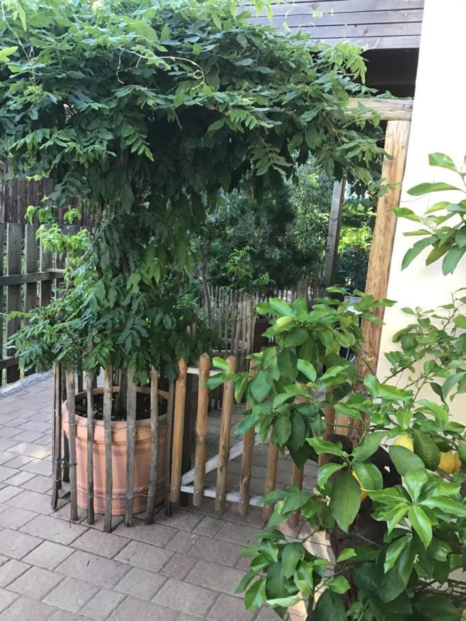 Ferienwohnung Lechraum In Waal 外观 照片