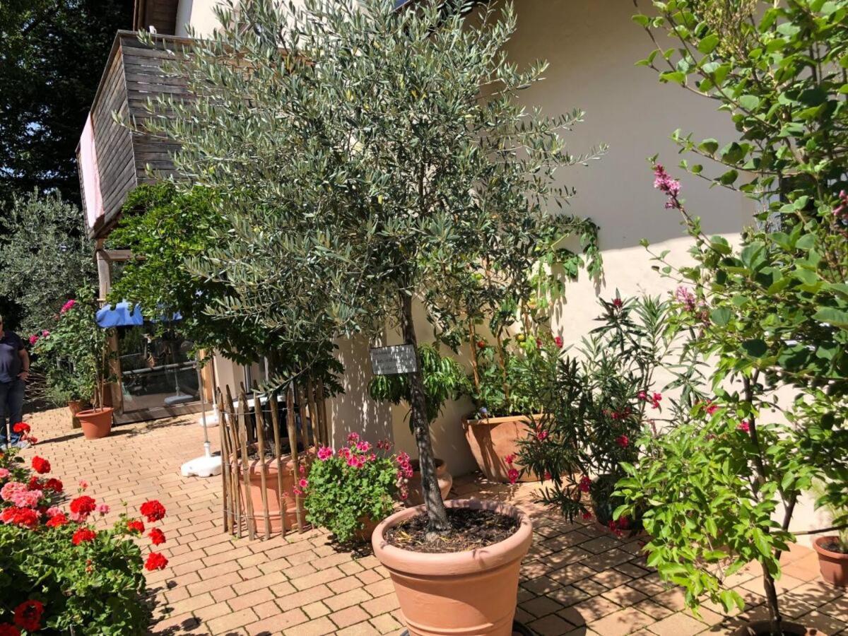 Ferienwohnung Lechraum In Waal 外观 照片