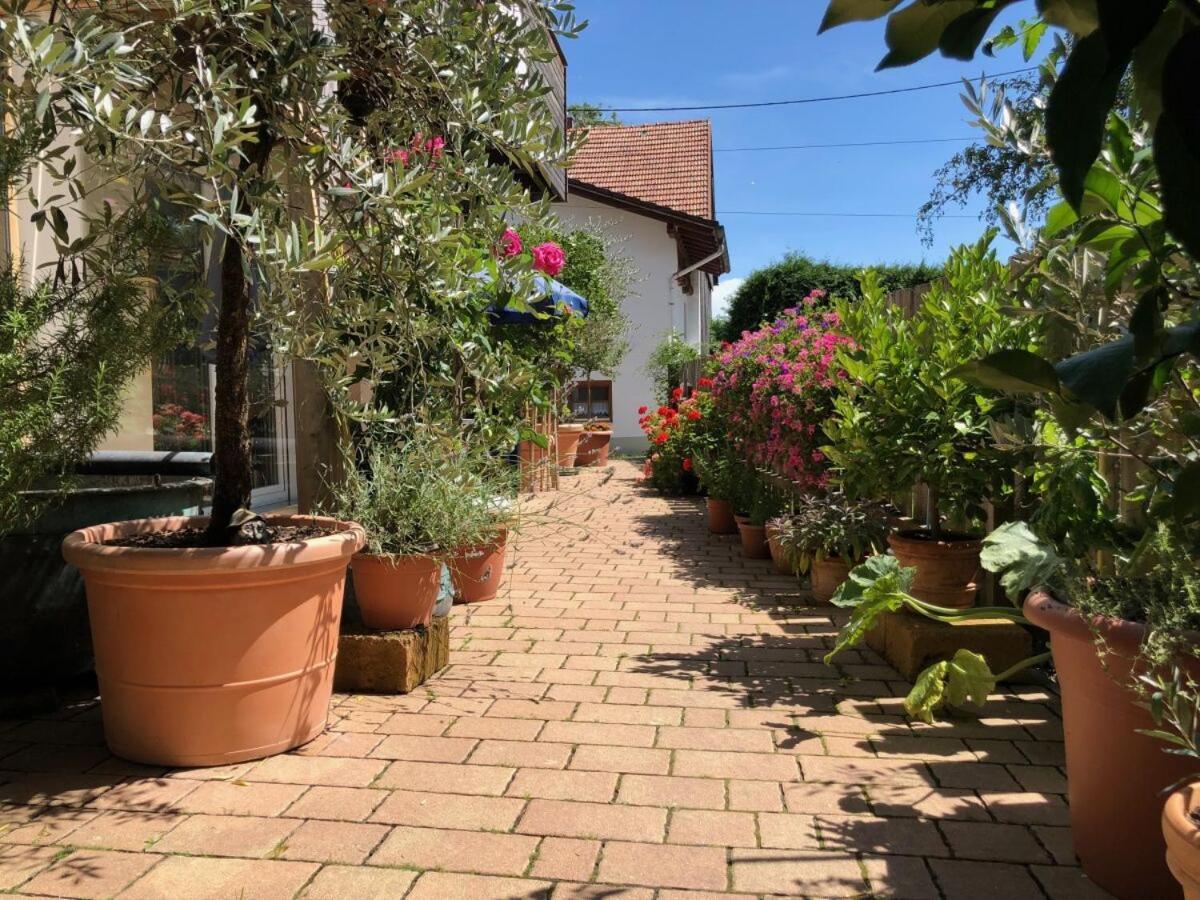Ferienwohnung Lechraum In Waal 外观 照片